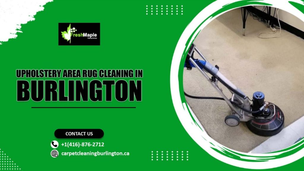 Upholstery & Area Rug Cleaning