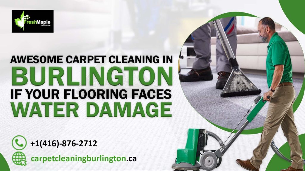 Awesome Carpet Cleaning in Burlington