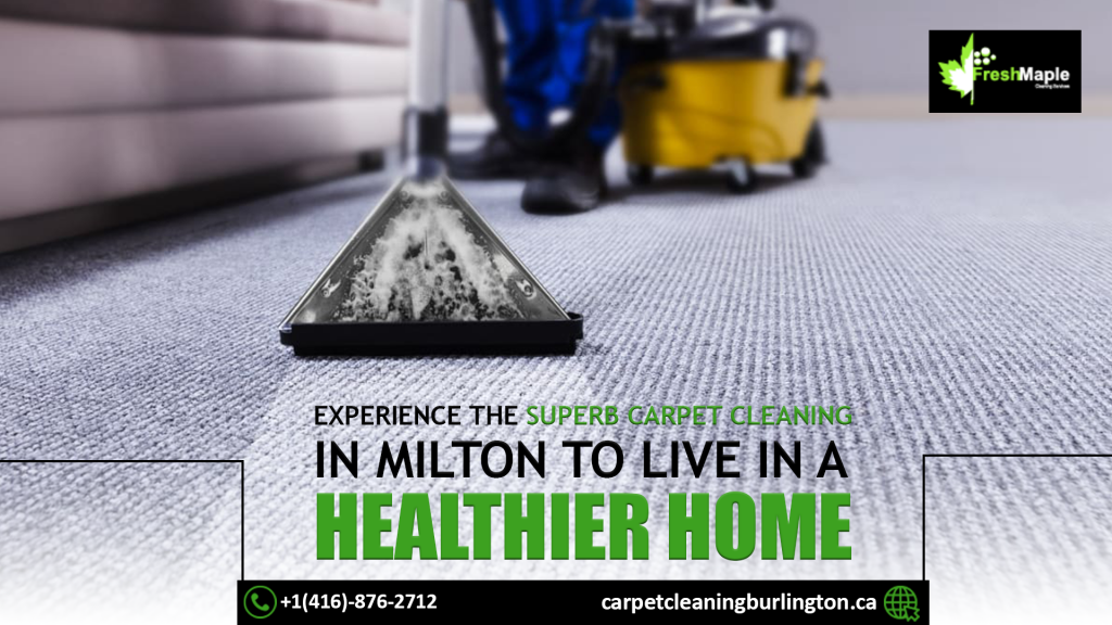 Superb Carpet Cleaning in Milton