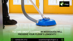 Tile and Grout Cleaning in Mississauga