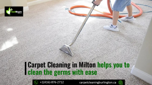 Carpet Cleaning in Milton Helps you to Clean the Germs with Ease