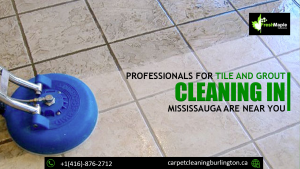 Professionals for tile and grout cleaning in Mississauga are near you